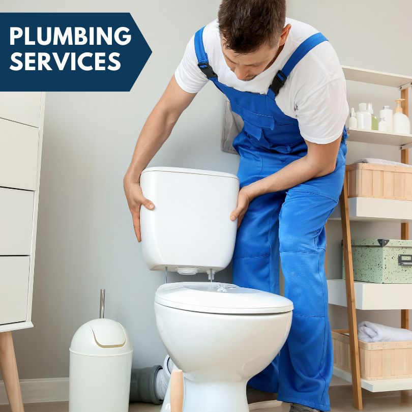 Plumbing Company in Rosebush, MI